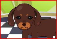 Giochi di Jewelpet
